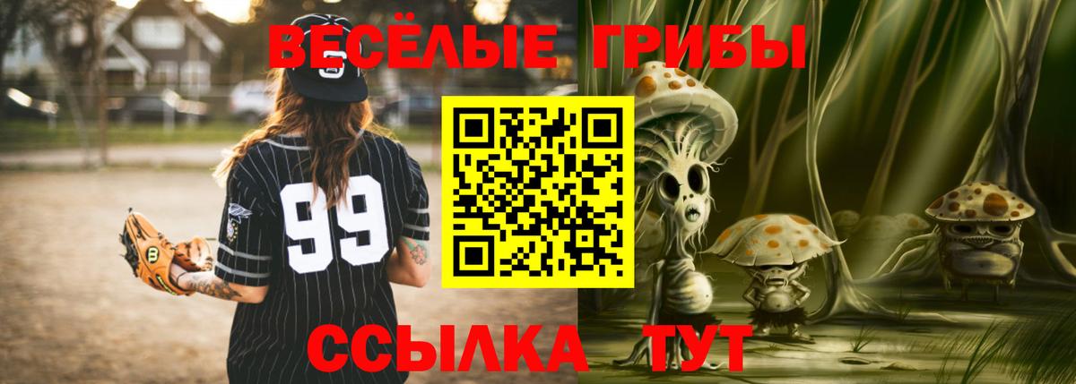 Псилоцибиновые грибы ЛСД Пенза